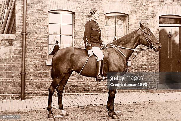 cavalry - equestrian royal horses stock pictures, royalty-free photos & images