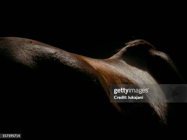 horseback - animal mane stock pictures, royalty-free photos & images