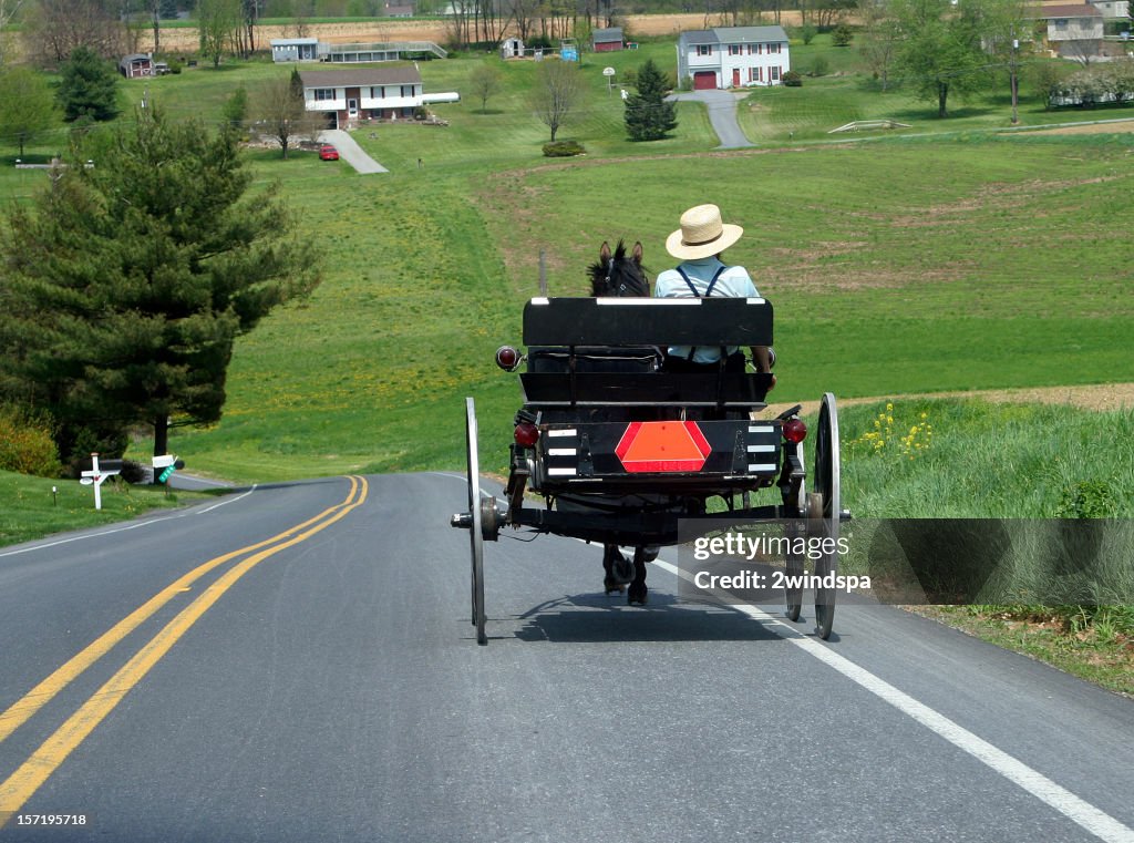 A man driving an Amish buggy down a sloping road
