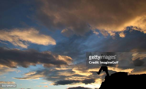 silhouette of a businessman walking off cliff - suicide stock pictures, royalty-free photos & images