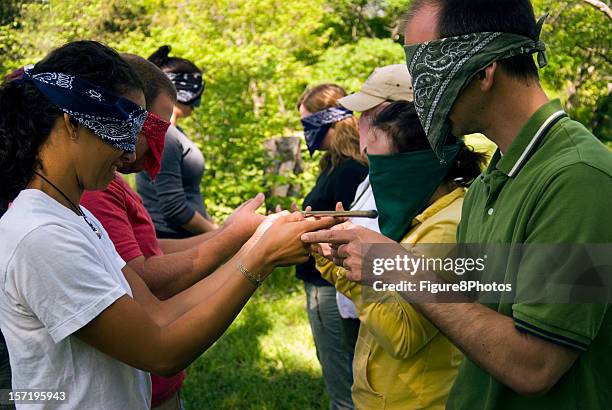 polecat #2 - blindfold stock pictures, royalty-free photos & images