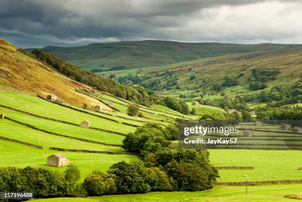 green fields at swaledale, yorkshire - barn stock pictures, royalty-free photos & images