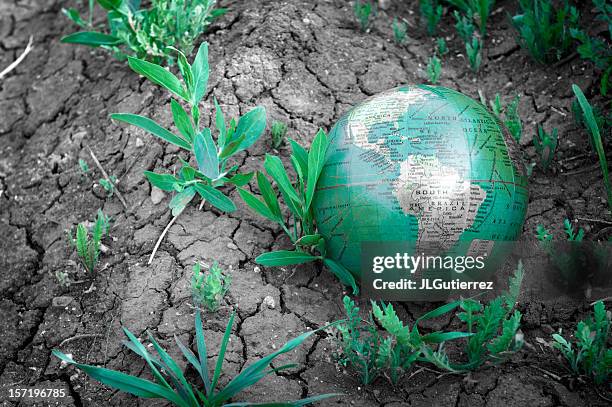 global warming - desktop globe stock pictures, royalty-free photos & images