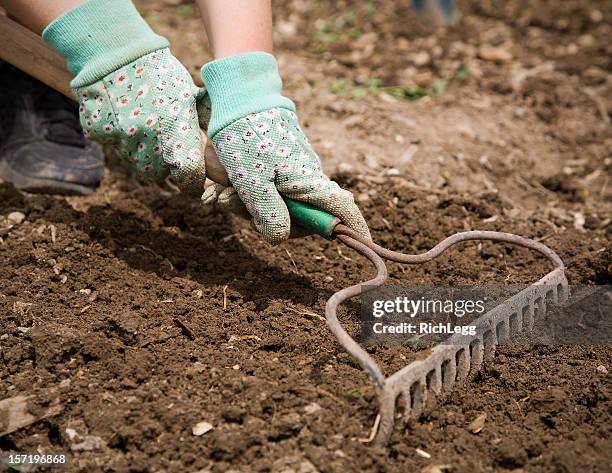 gardener raking soil - top soil stock pictures, royalty-free photos & images