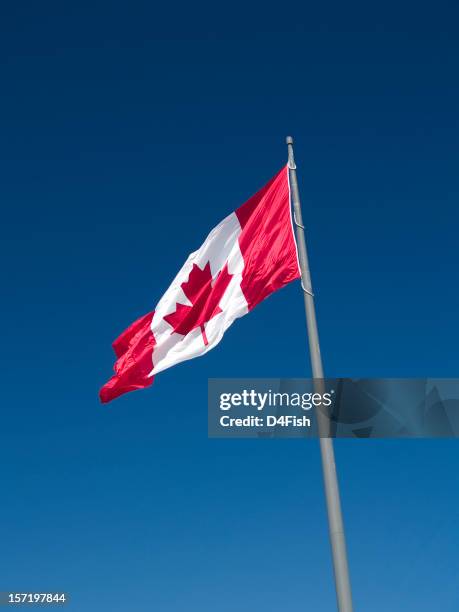 bandeira do canadá (retrato - bandeira do canadá imagens e fotografias de stock