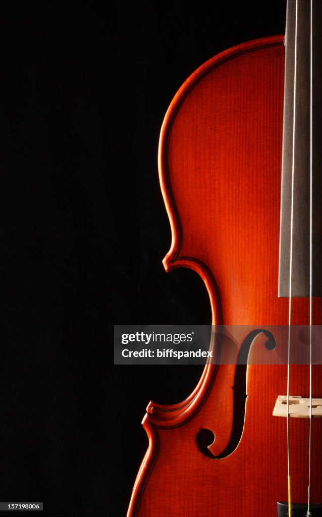 Elegante Violine