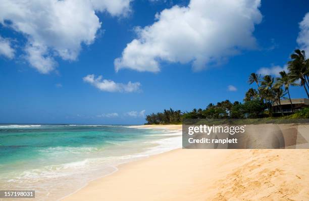 isolated tropical beach - waimea bay stock pictures, royalty-free photos & images