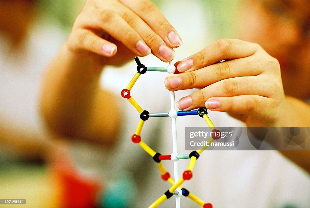 DNA Education 1: High school child, double helix molecule model