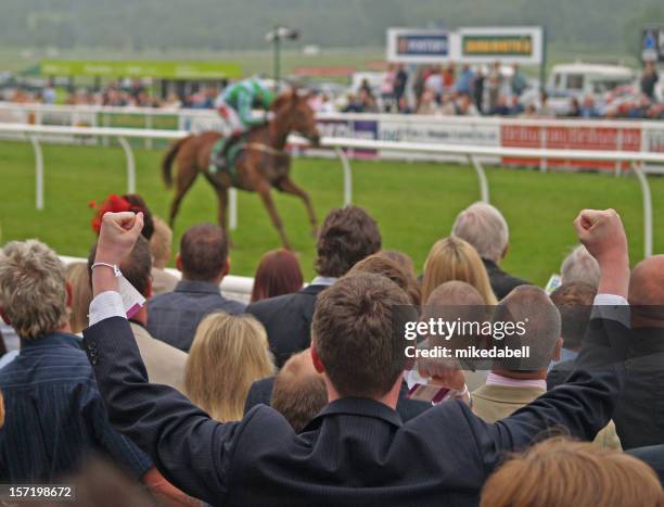 winner - horse racing crowd stock pictures, royalty-free photos & images