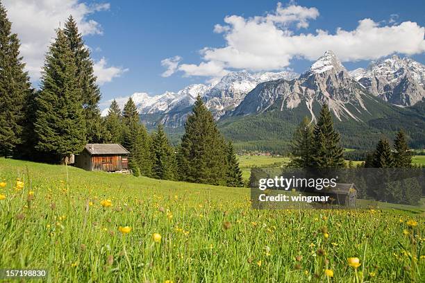 lermoos - tirol deelstaat stockfoto's en -beelden