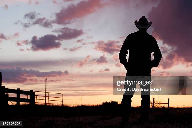 silhouette of a cowboy at day break - girl jeans standing stock pictures, royalty-free photos & images
