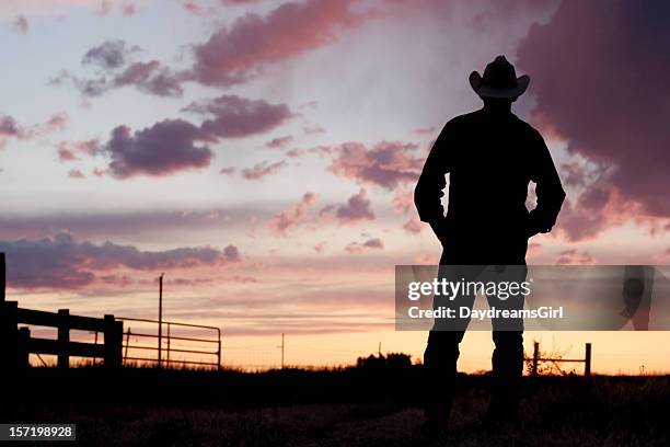 silhouette of a cowboy at day break - ranch landscape stock pictures, royalty-free photos & images