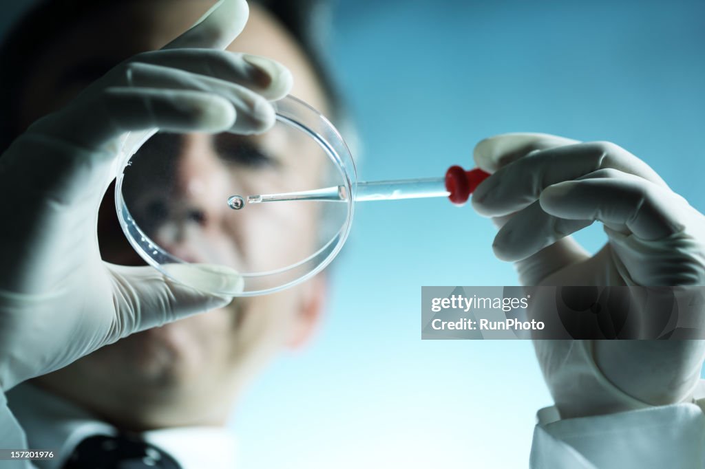 Scientist dropping liquid into a petri dish