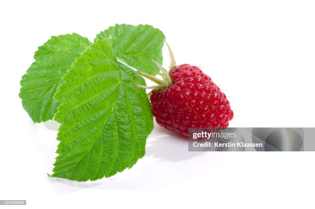 Raspberries isolated on white