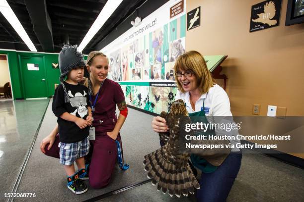 Sharon Schmalz, right, holds an injured Coopers Hawk brought in by Patty Allison, center, and Seth Petrey at the Wildlife Center of Texas, Tuesday,...