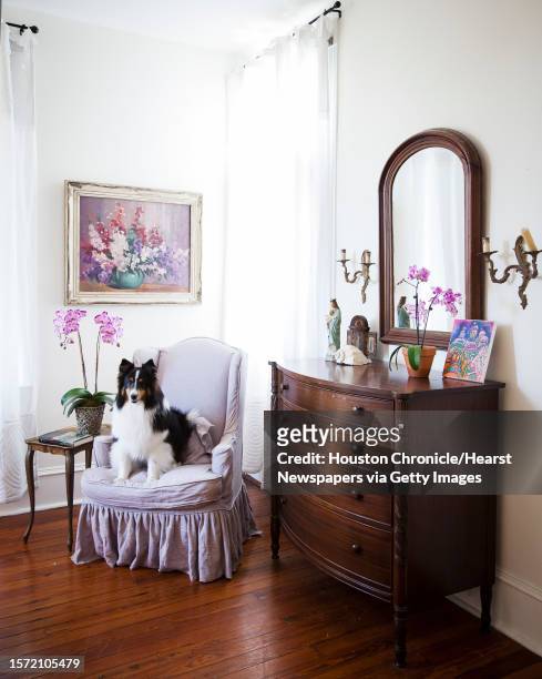 Izzie sits in a chair in the master bedroom of Helen Carmody Stroud's Victorian home built in 1899, Friday, Nov. 16 in Galveston.