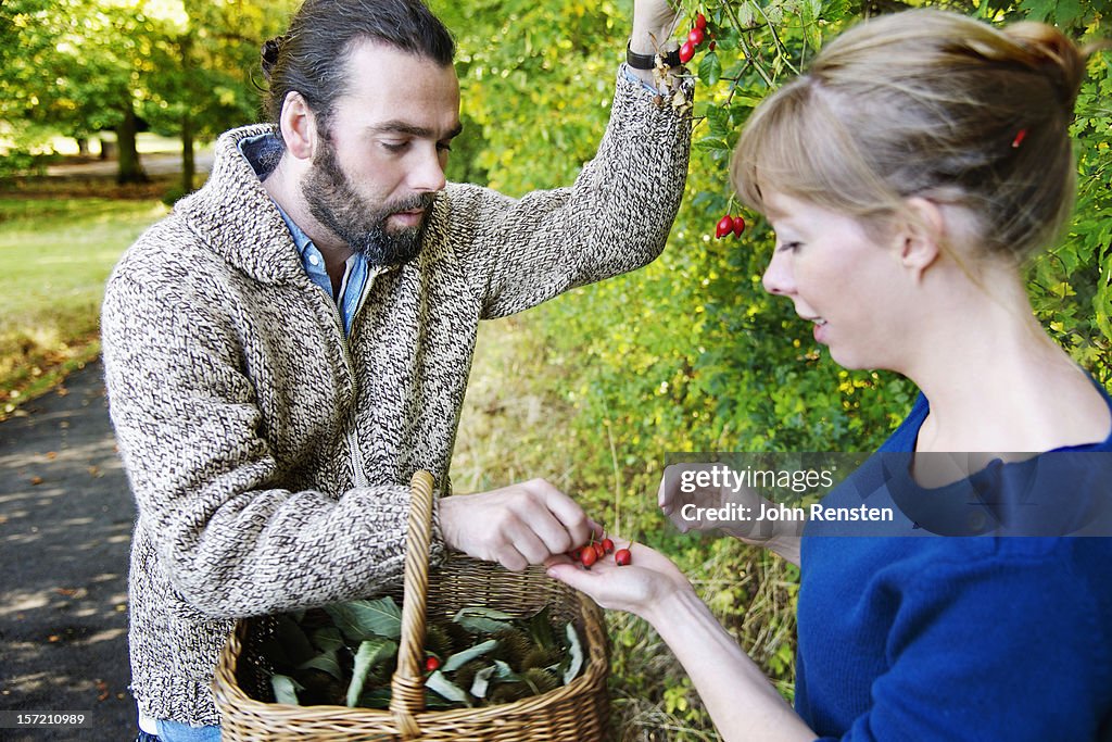 Urban foraging for wild food berries and mushroom