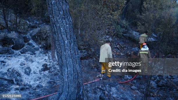 The forest fire, which started two days ago in Antalya's Kemer district, continues on its third day on July 26, 2023 in Antalya, Turkey. Air and land...