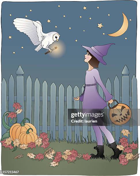 halloween witch and barn owl - barn owl stock illustrations