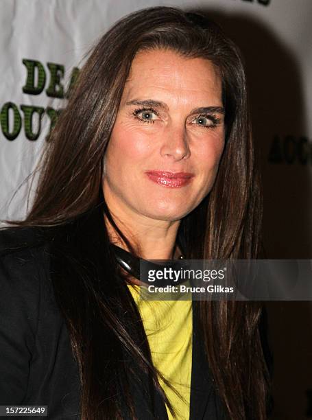 Brooke Shields attends the Opening Night of "Dead Accounts"on Broadway at The Music Box Theatre on November 29, 2012 in New York City.