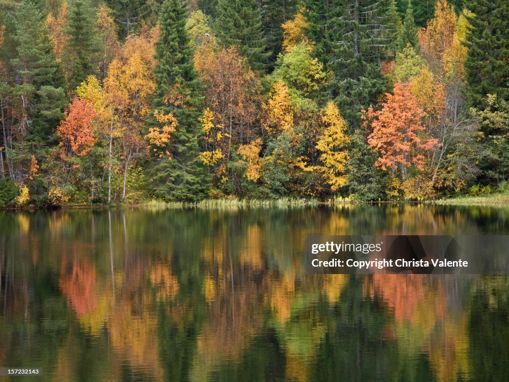 Fall Reflection Slide Image Fall Reflections High-Res Stock Photo - Getty Images