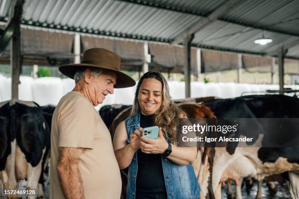 father and daughter cattle ranchers using smartphone - livestock show stock pictures, royalty-free photos & images