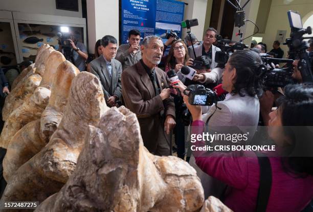 Peruvian paleontologist Mario Urbina talks to the media next to the fossilized remains of the Perucetus colossus, a primitive cetacean belonging to...