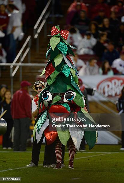 William Rothacker Jr Stanford Mascot Tree Photos et images de collection - Getty Images