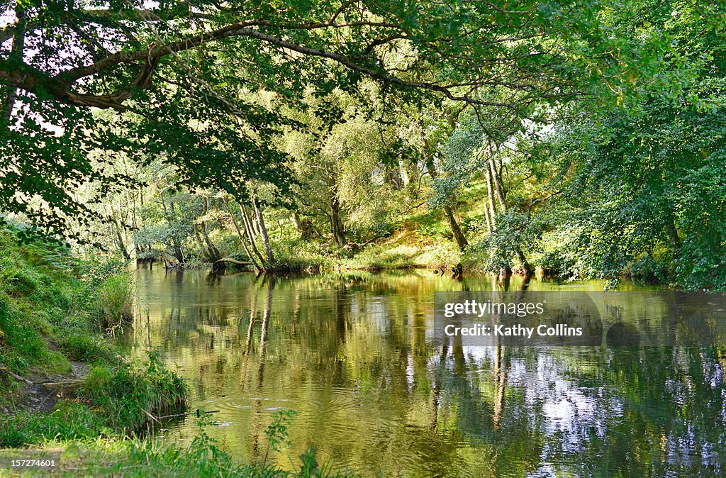River Earn in summer, with reflections
