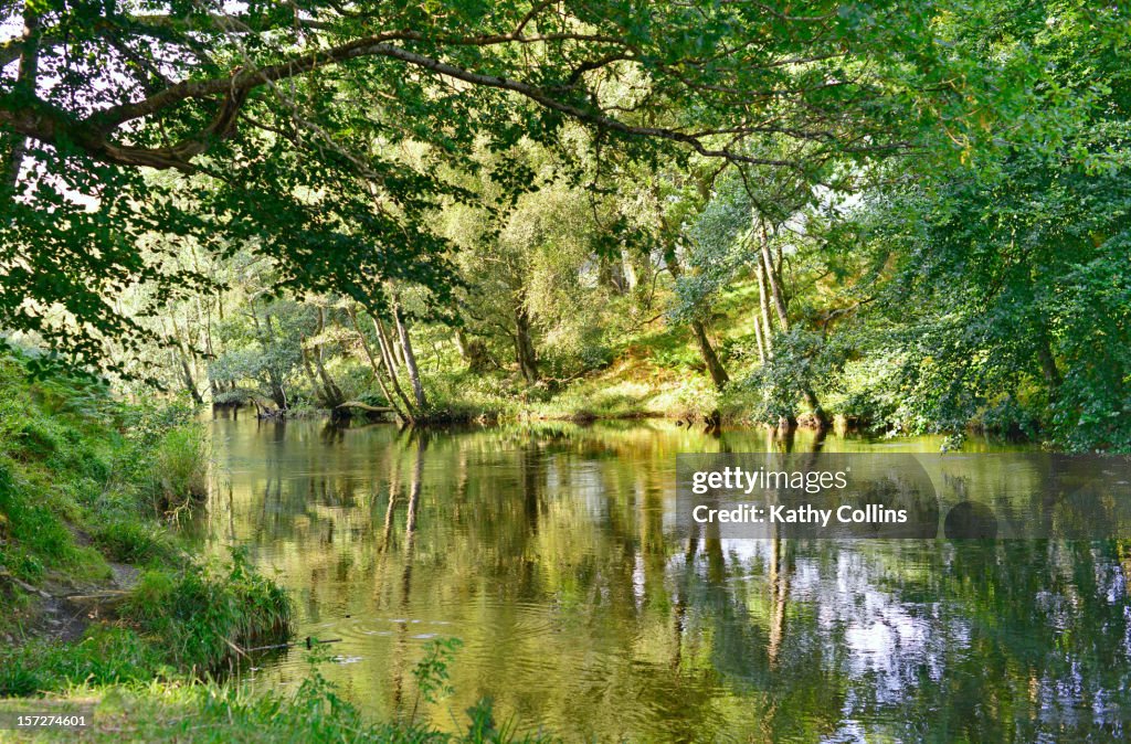 River Earn in summer, with reflections