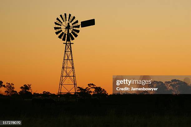 windmill at sunset - outback windmill bildbanksfoton och bilder