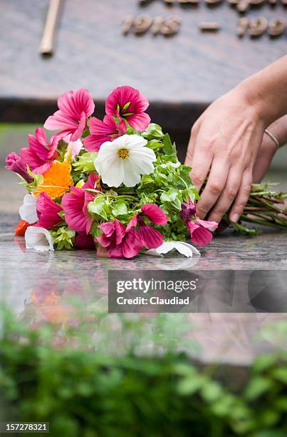 cementary - cemetery stock-fotos und bilder