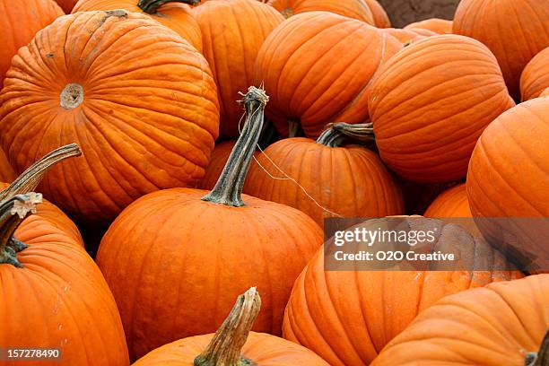 load of pumpkins - pompoen stockfoto's en -beelden