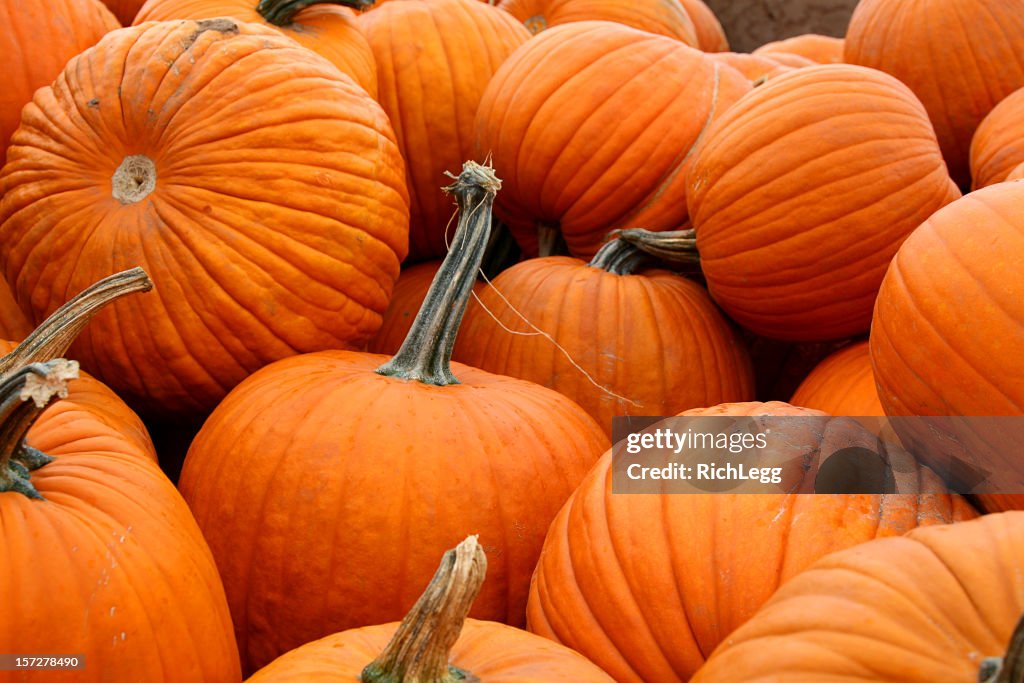 Load of Pumpkins