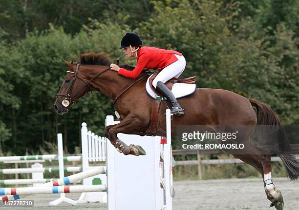 horse jumping competition show with rider in red - all horse riding stock pictures, royalty-free photos & images