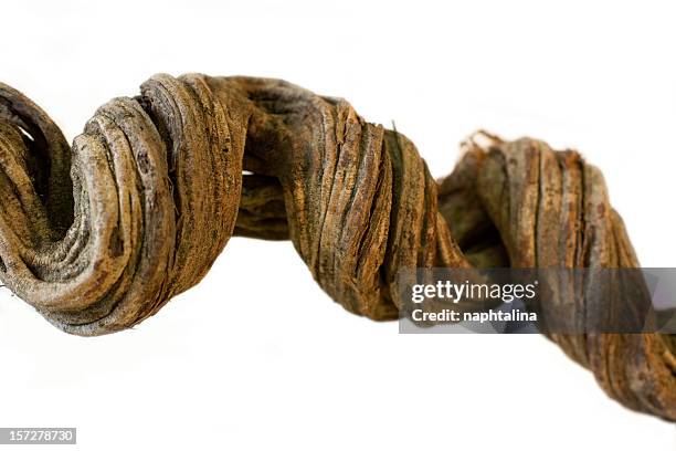 Pulling Up Roots Photos and Premium High Res Pictures - Getty Images