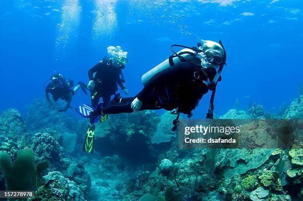 família mergulho autónomo - diver imagens e fotografias de stock