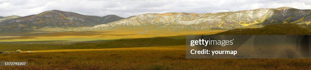 Elkhorn Plain und Temblor Range Frühlingsblüte Panorama