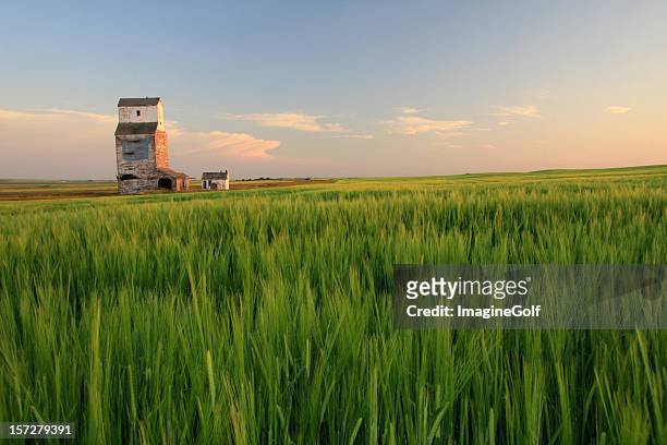 wooden grain elevator on the prairie - alberta prairie stock pictures, royalty-free photos & images