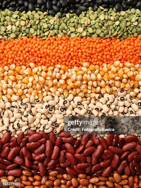rows of seeds - split pea stock pictures, royalty-free photos & images