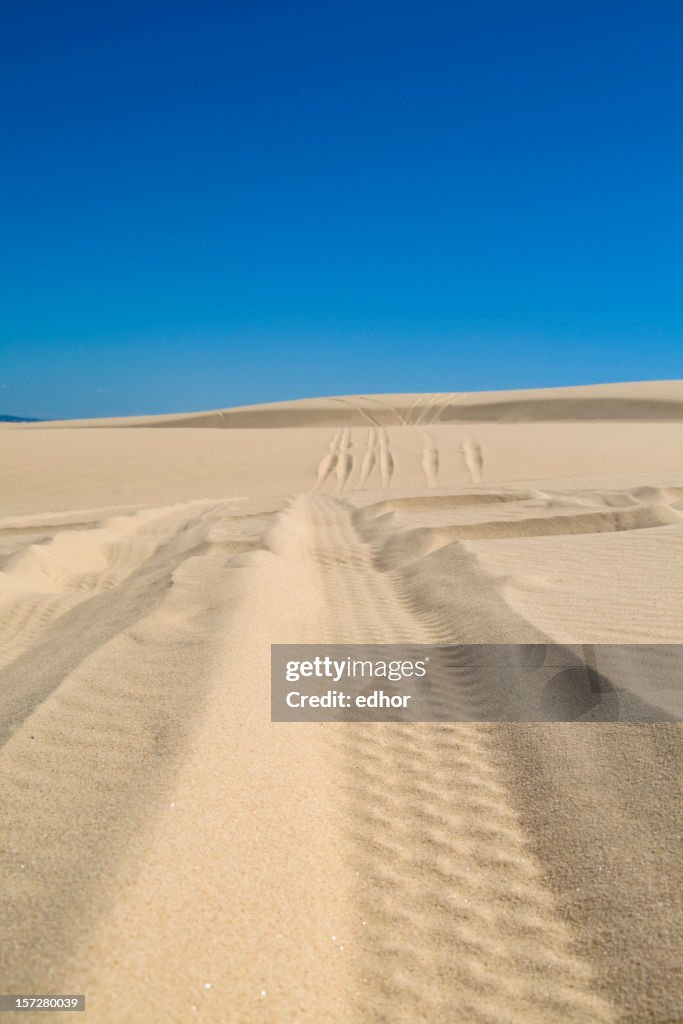 Sand Tracks 2 High-Res Stock Photo - Getty Images