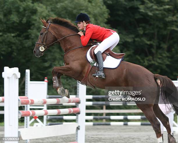 springreiten wettbewerb 2 - equestrian show jumping stock-fotos und bilder