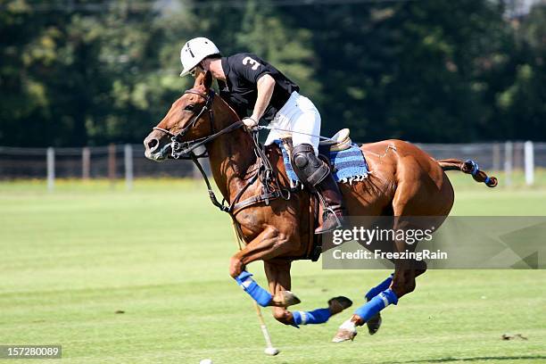 shoot the ball - polo field stock pictures, royalty-free photos & images