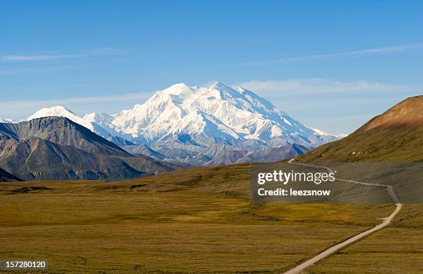 wunderschönen mount mckinley in alaska - denali nationalpark stock-fotos und bilder