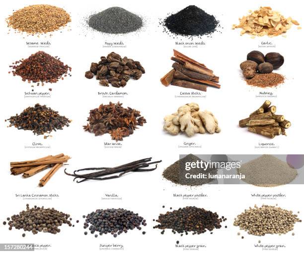 twenty spices. xxxl. second part. - herb stock pictures, royalty-free photos & images