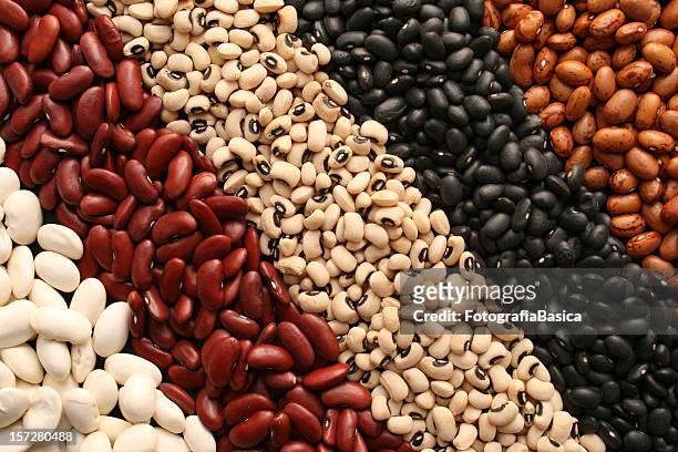 beans diagonals - bonen stockfoto's en -beelden