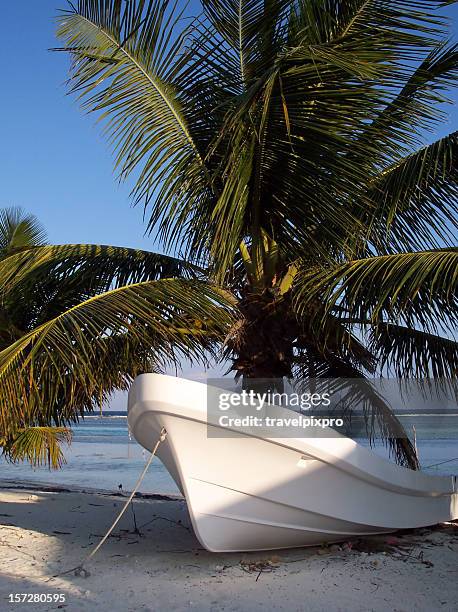 boat under palm - fishing village stock pictures, royalty-free photos & images