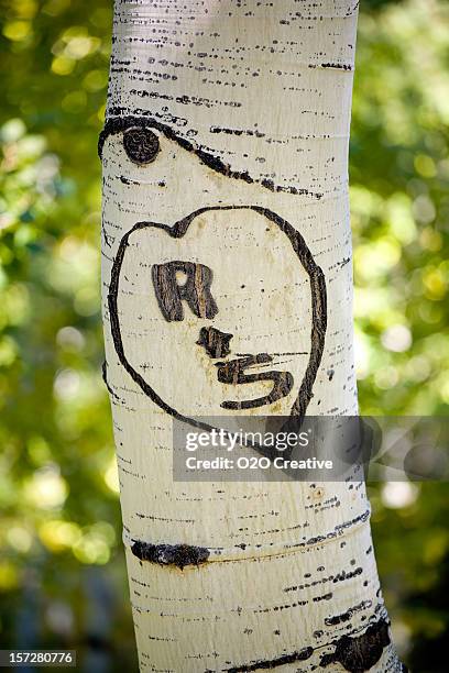 Tree With Initals R S Initials Carved In A Tree Photos and Premium High Res Pictures - Getty ...