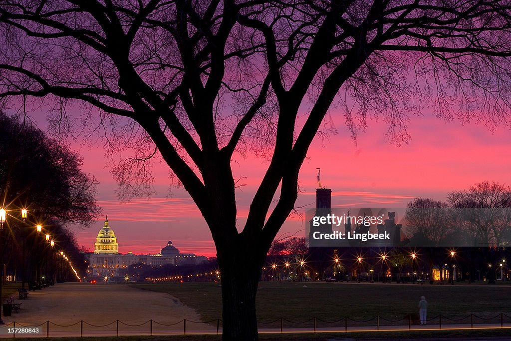 Capitol Hill in morning red