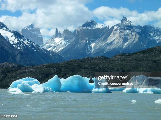 torres del paine icebergs on grey lake, chile - torres del paine national park stock pictures, royalty-free photos & images